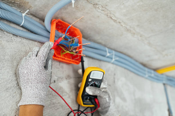 Best Electrical Troubleshooting Services  in Barrington Hls, IL