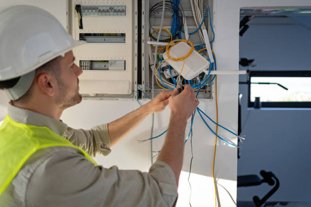 Best Electric Panel Repair  in Barrington Hls, IL